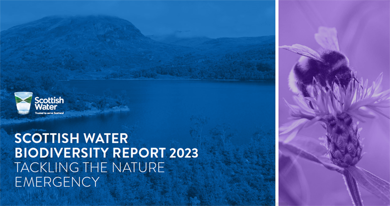 Biodiversity report cover with photo of a bee on a flower