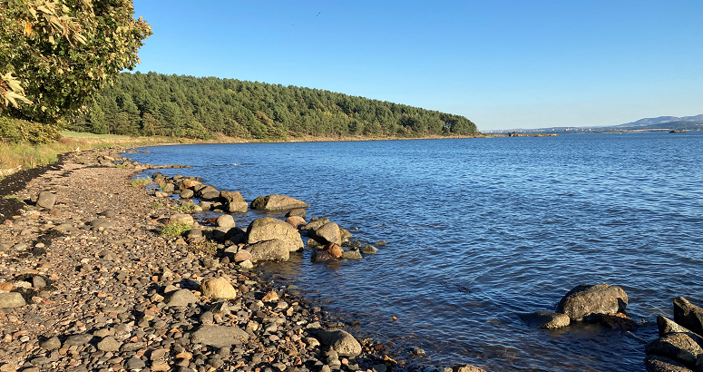 The shoreline to the east of Dalgety Bay is shown. The trees of Braefoot are in the background of the image